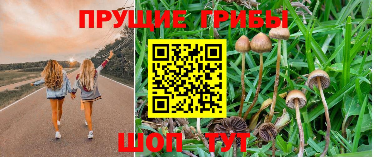 дарнет шоп  Галлюциногенные грибы ЛСД  Вход с VPN  Георгиевск 